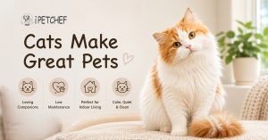 Cats Make Great Pets: Healthy indoor cat relaxing at home with a happy family, showing the benefits of owning a cat.