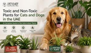 Golden Retriever and tabby cat surrounded by pet-safe and toxic indoor plants illustrating toxic and non-toxic plants for cats and dogs in the UAE.