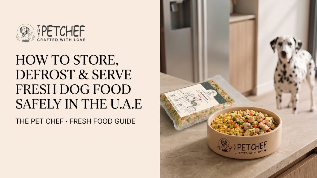 Store, Defrost and Serve Fresh Dog