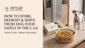 How to Store, Defrost and Serve Fresh Dog Food Safely in the U.A.E